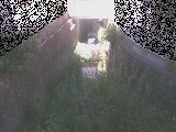 Ët߂̉摜