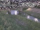 ͌t߂̉摜
