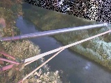 Ct߂̉摜