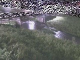 ͌t߂̉摜