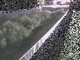 Vߗ䋴t߂̉摜