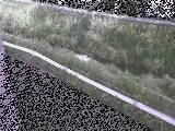 t߂̉摜