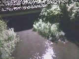Vt߂̉摜