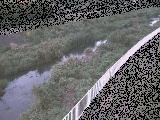 ct߂̉摜