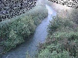 yxct߂̉摜