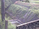Rt߂̉摜