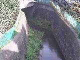 Vt߂̉摜
