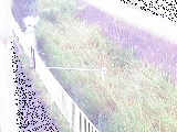 t߂̉摜