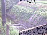 Rt߂̉摜