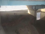 gct߂̉摜