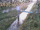 ʐ싴t߂̉摜