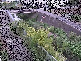 irt߂̉摜