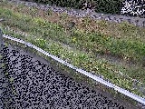 t߂̉摜