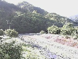 �J�ˌ����t�߂̉摜