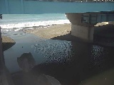 �g�c���t�߂̉摜