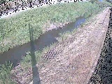 ���苴�t�߂̉摜