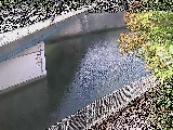 ���싴�t�߂̉摜