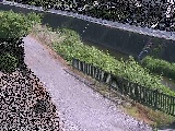 ���~���t�� �̉摜