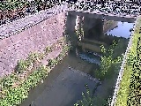 �g�싴�t�߂̉摜