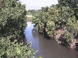 �C�V�������H�t�߂̉摜
