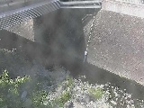 �΋��t�߂̉摜
