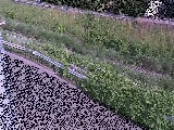 �����t�߂̉摜