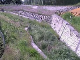 ���ˋ��t�߂̉摜