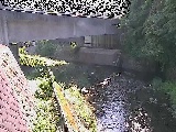���싴�t�߂̉摜