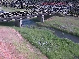 ���͌����t�߂̉摜