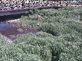 ���苴�t�߂̉摜