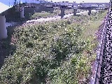��E���t�߂̉摜