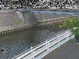 �鏠���t�߂̉摜
