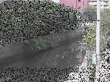 �΍苴�t�߂̉摜