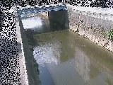 ���g���t�߂̉摜