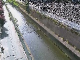 �������t�߂̉摜