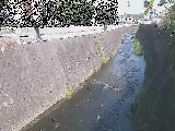 �V�O�֋��t�߂̉摜
