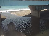 �g�c���t�߂̉摜