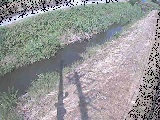 ���苴�t�߂̉摜