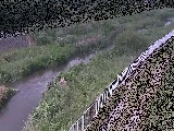 ��c���t�߂̉摜