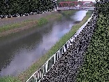 �V�ߗ䋴�t�߂̉摜