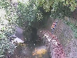 �咬���t�߂̉摜