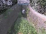 ��Ë��t�߂̉摜