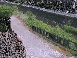 ���~���t�� �̉摜