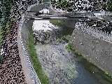 ���R���t�߂̉摜