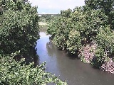 �C�V�������H�t�߂̉摜