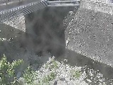 �΋��t�߂̉摜