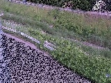 �����t�߂̉摜