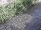 �x�����t�߂̉摜