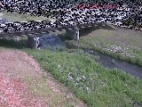 ���͌����t�߂̉摜