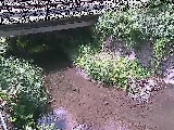 �V�������t�߂̉摜